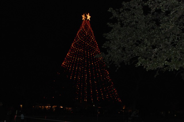 2013/2013 Christmas/640x480_2013-12-20 19-35-13 Trail of Lights.jpg